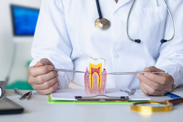 Best Emergency Orthodontic Repairs in Rosendale, WI